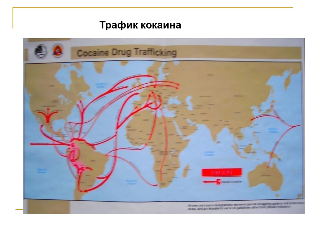 Трафик кокаина